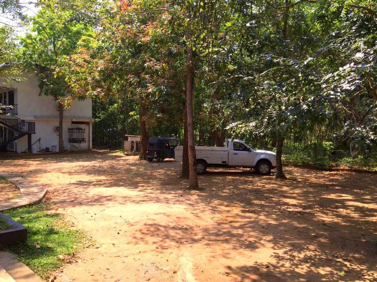 Flower Garden Eco Village Sigiriya Exterior foto